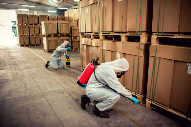 Best Local Pest Control Services  in Murphys Estates, SC