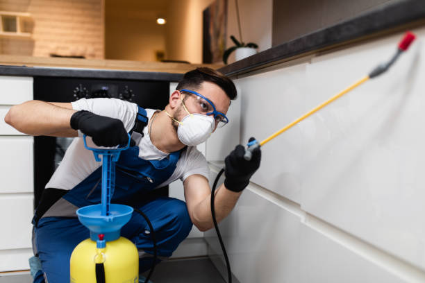 Best Local Pest Control Services  in Murphys Estates, SC