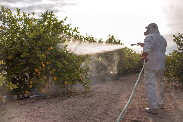 Best Best Pest Control Companies  in Murphys Estates, SC