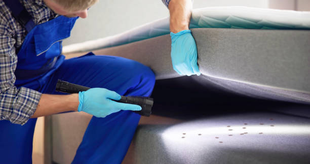 Best Wasp Removal Services  in Murphys Estates, SC