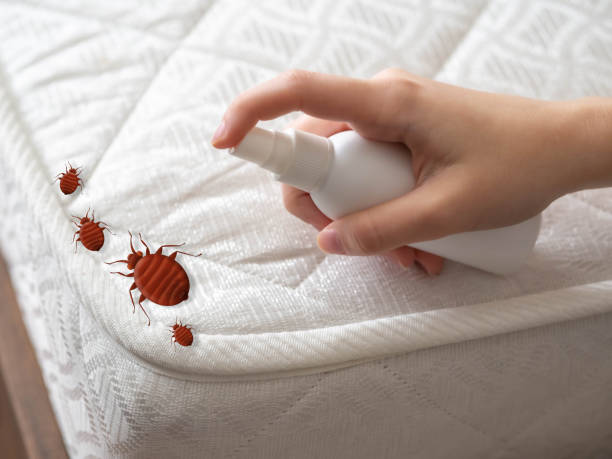Best Pest Prevention Services  in Murphys Estates, SC