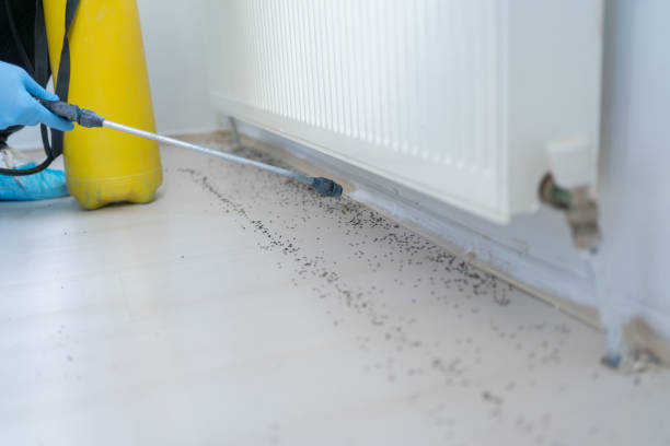 Best Pest Removal Services  in Murphys Estates, SC
